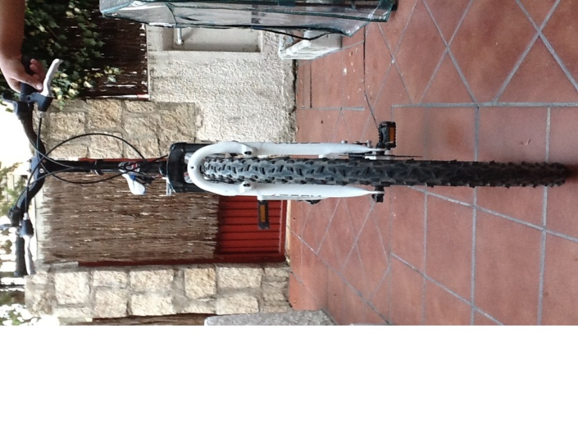 Bicicleta Gotty mountain bike doble suspensi n mejor precio