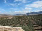 Finca rústica en Cañete la Real - mejor precio | unprecio.es