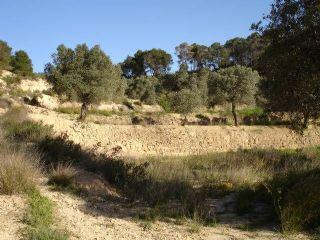 Finca/Casa Rural en venta en Vilalba dels Arcs, Tarragona (Costa Dorada)