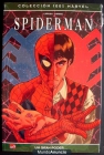 100% Marvel - Panini - Volumen 1 - Spiderman - un gran poder... - mejor precio | unprecio.es