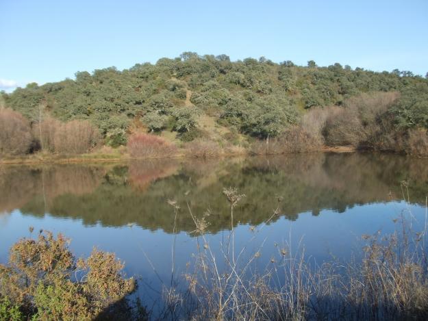 Finca de recreo 236 has.con cortijo en adamuz (córdoba)