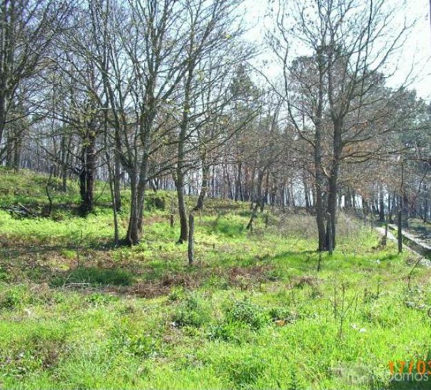 Finca Rustica con Casa de campo para restaurar con bodega, pajar, establo, patio cerrado con parra y hórreo