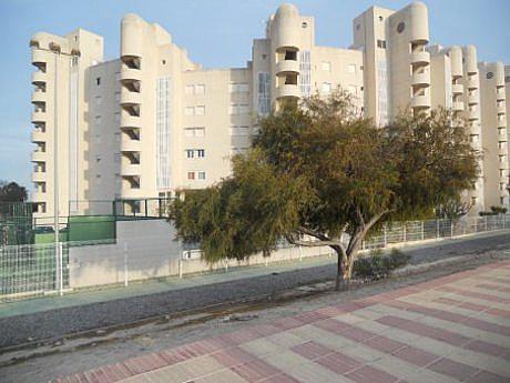 Apartamento en Campello (el)