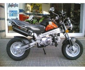 MONKEY BIKE MB 110 R