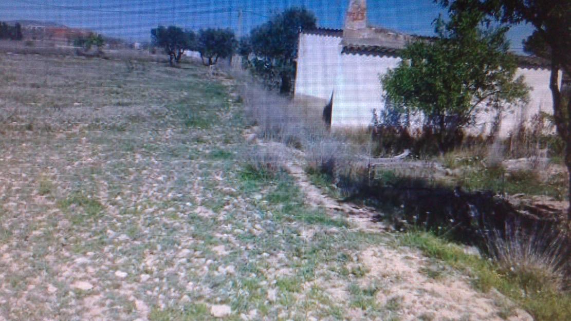 Se vende finca en Paraje de los Quiñones