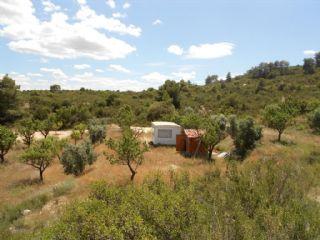 Finca/Casa Rural en venta en Batea, Tarragona (Costa Dorada)