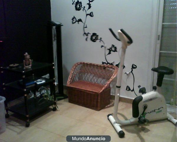 VENDO EN LOTE  BICICLETA  Y MUEBLES