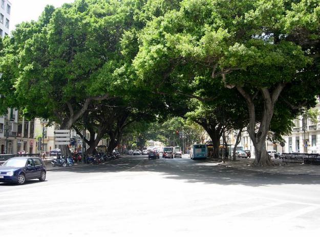 Sillas para Semana Santa en Málaga