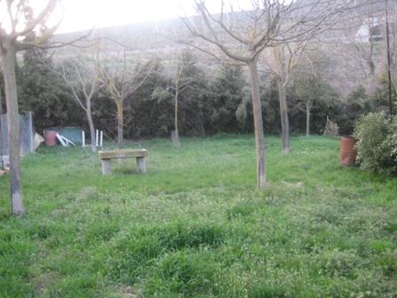 Casa de pueblo. rustica piedra. con jardin. huerto.