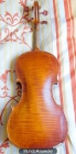 Viiolín antiguo Luigi Amici, Roma. - mejor precio | unprecio.es