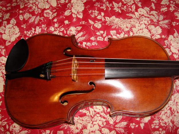 Vendo Viola