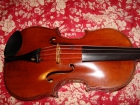 Vendo Viola - mejor precio | unprecio.es