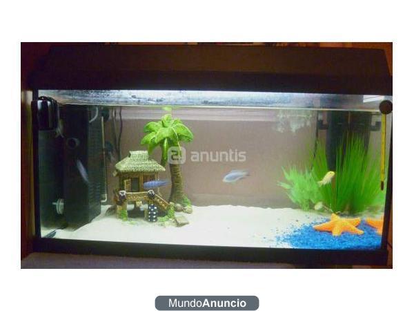 acuario 60 litros