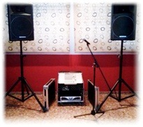 Equipo de sonido profesional 330 + 330 W RMS