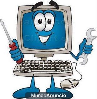 tecnico informatico titulado profesional