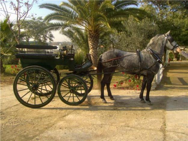 coche de caballos antiguo