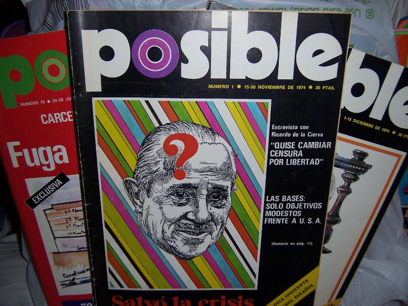 Revista posible