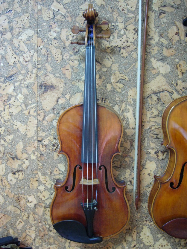 viola