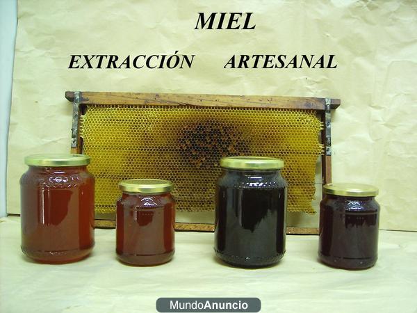 MIEL Y POLEN