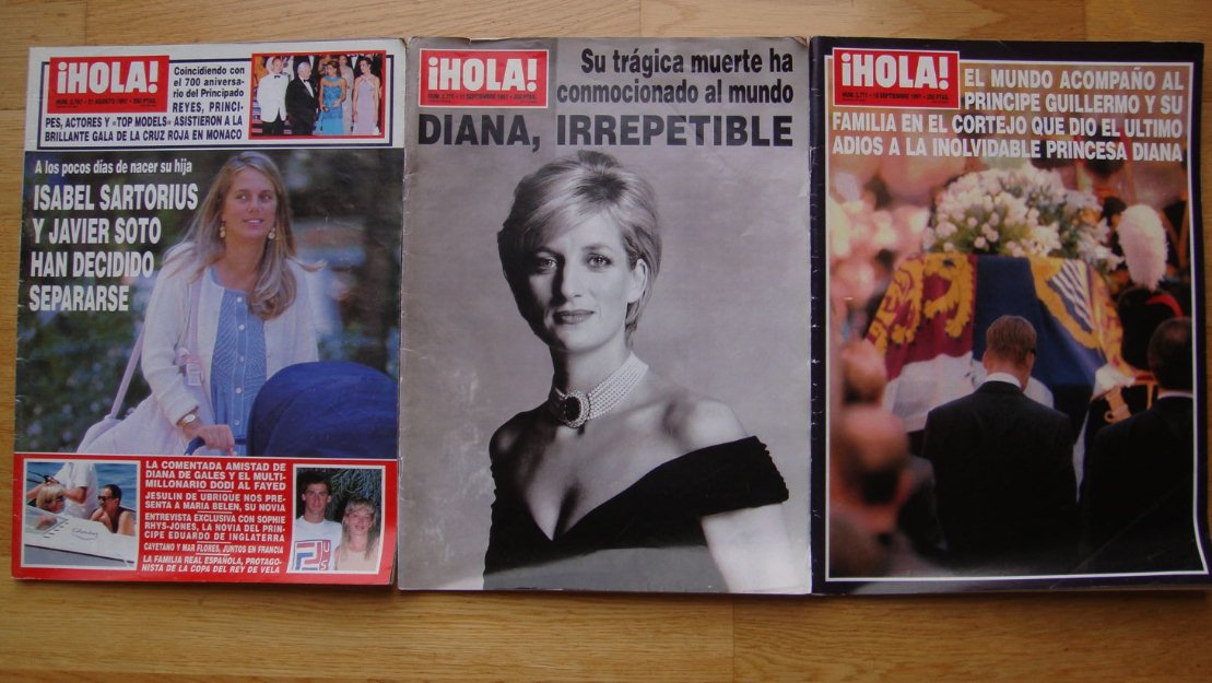 Lady Di lote de revistas