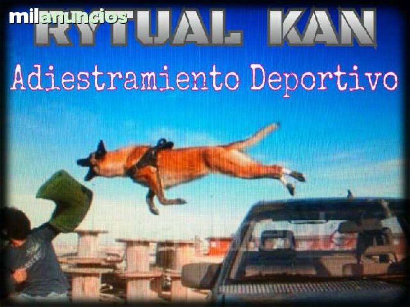 Adiestramiento canino rytual-kan