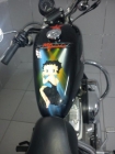 HarleyDavidson 883 - mejor precio | unprecio.es