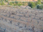 Finca/Casa Rural en venta en Bot, Tarragona (Costa Dorada) - mejor precio | unprecio.es
