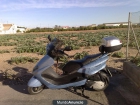 maystic 125 tur - mejor precio | unprecio.es