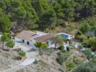 Finca/Casa Rural en venta en Canillas de Aceituno, Málaga (Costa del Sol) - mejor precio | unprecio.es