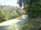 Finca rústica en Úbeda - mejor precio | unprecio.es