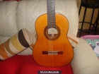 GUITARRA DE COLECCION DE CONCIERTO GRANADA - mejor precio | unprecio.es