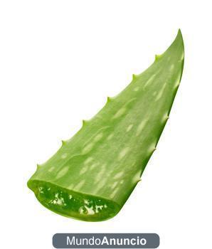 Buscamos tiendas para vender productos de aloe vera, jabones artesanales y velas artesanales