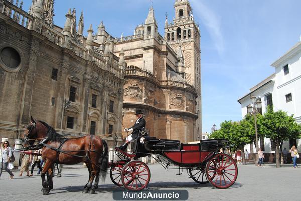 COCHE DE CABALLOS FERIA SEVILLA 2012