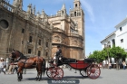 COCHE DE CABALLOS FERIA SEVILLA 2012 - mejor precio | unprecio.es