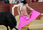 Entradas de toros San Isidro,en tendidos,a 70 eurs,para los dias 14-22-19--30-mayo y - mejor precio | unprecio.es