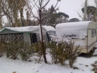 CARAVANA BUSNERT 420 - mejor precio | unprecio.es