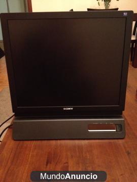 Monitor SONY SDM E96D 19 pulgadas