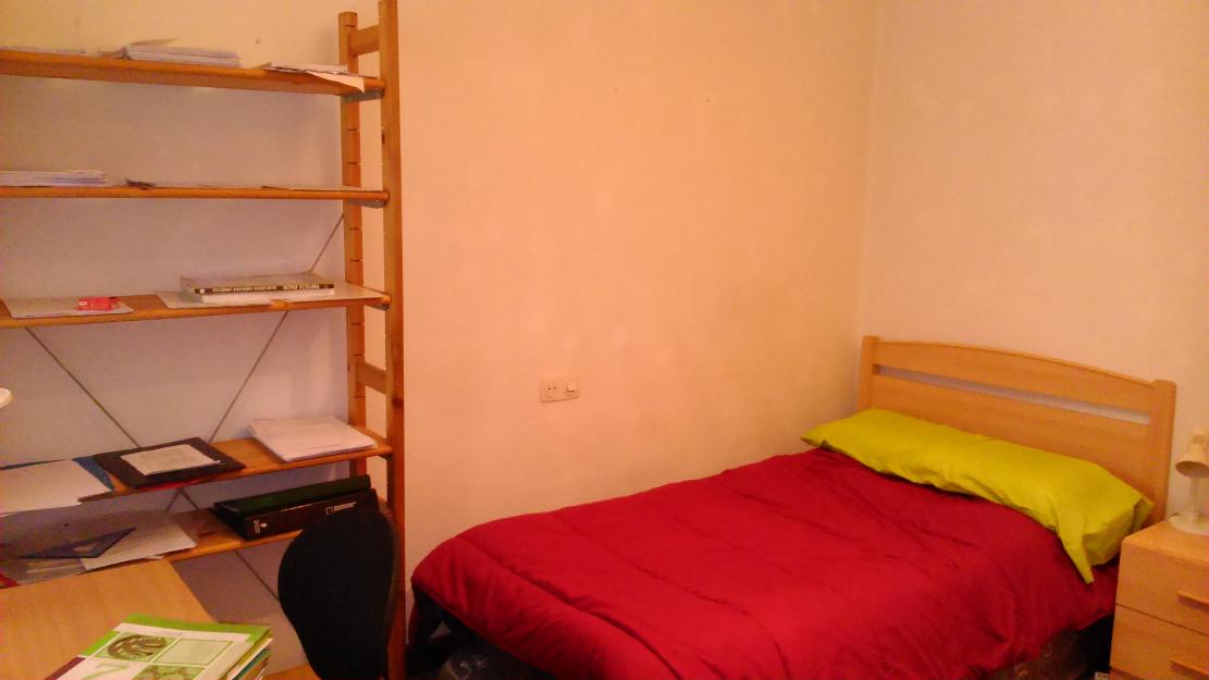 Alquilo habitación en piso de estudiantes.