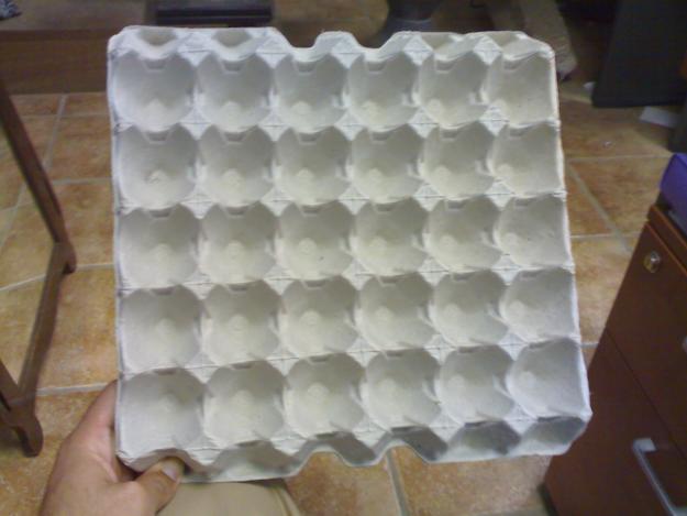 hueveras de carton