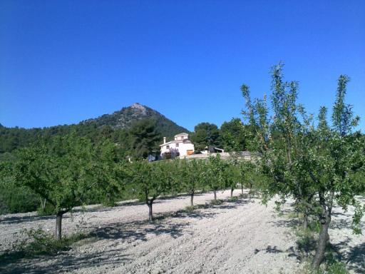 Finca rústica - Castalla