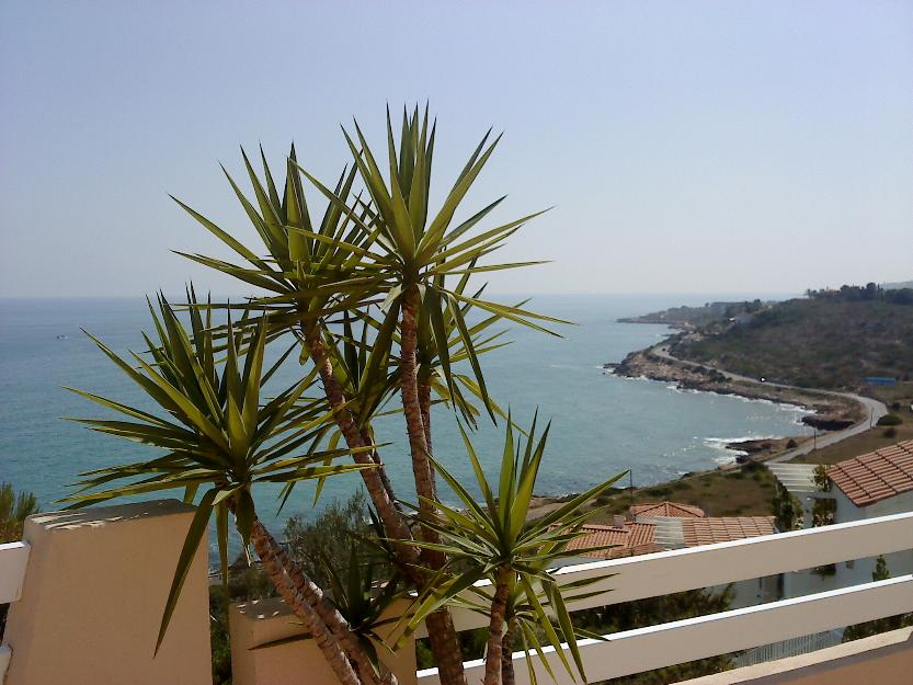 Superterraza al mar.peñiscola, cerro mar. port nou. colombia,20