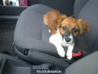 Azucar lloviendo y refugiandose en un coche - mejor precio | unprecio.es