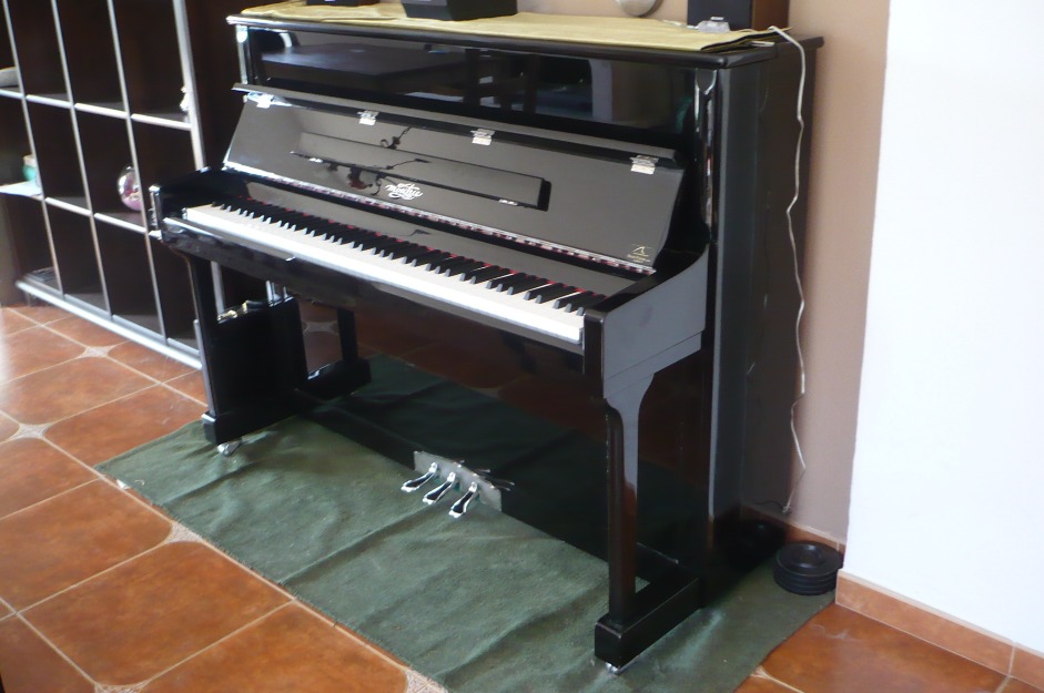 Oportunidad Piano Semi-Nuevo