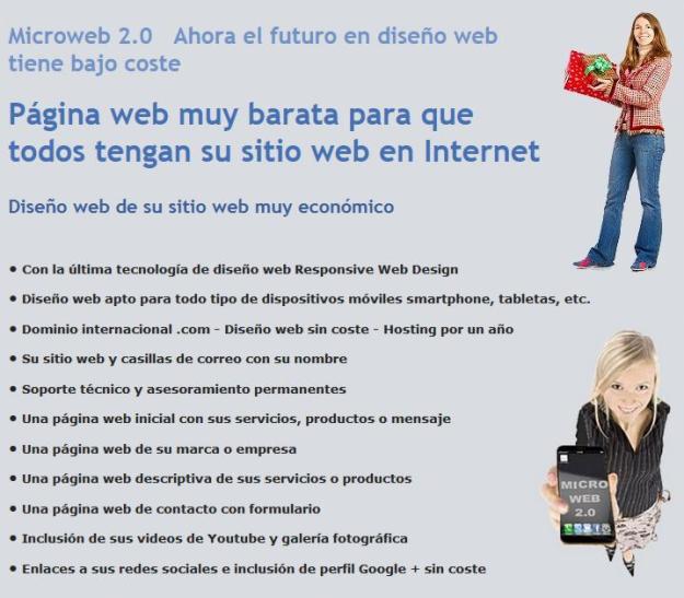 Sitio web económico Barcelona  - Su página web con hosting anual y dominio