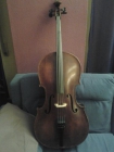 Violochelo Cello Luthier Profesional o Estudios Superiores - mejor precio | unprecio.es