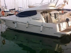 Starfisher 34 Fly - mejor precio | unprecio.es