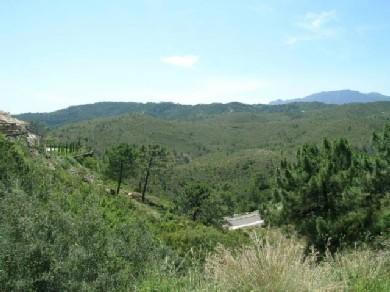 Terreno se vende en Estepona, Costa del Sol