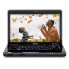 Satellite M505-S4985-T 14.0-Inch Black/Ony - mejor precio | unprecio.es