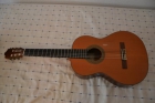 Vendo guitarra Alhambra 8C (actual 8P) - mejor precio | unprecio.es