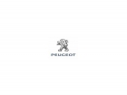 PEUGEOT 207 1.4 VTi 16v Confort - mejor precio | unprecio.es